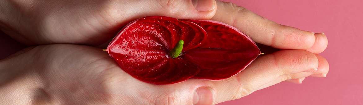 Гіменопластика