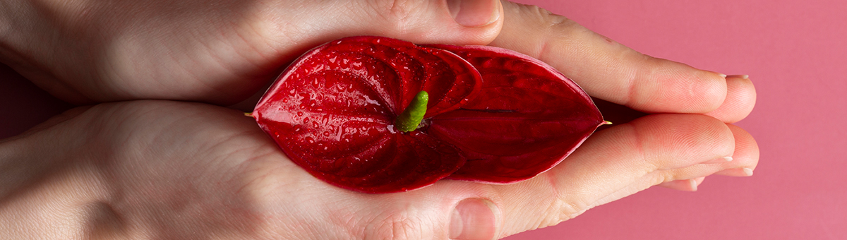 Гіменопластика